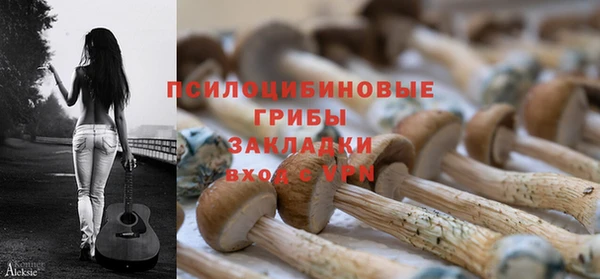 метадон Гусев