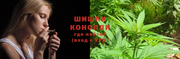 дурь Дмитриев