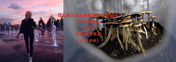 экстази Гусь-Хрустальный