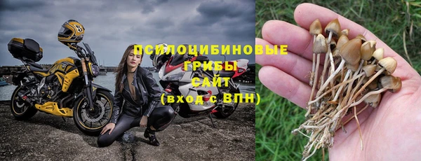 экстази Гусь-Хрустальный